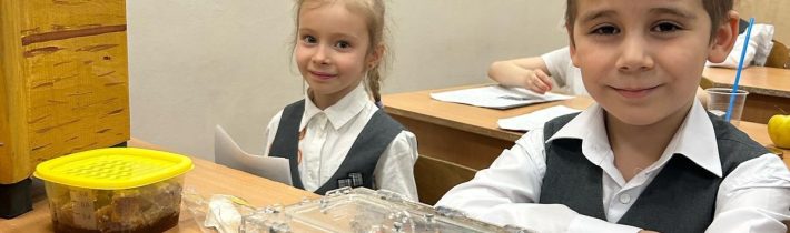 Школьный Этап Научно-Практической Конференции (НПК)