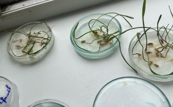 Экология — наука будущего!