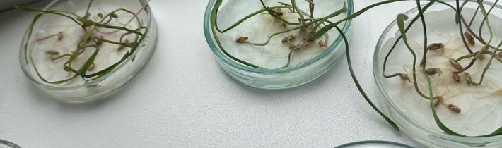 Экология — наука будущего!